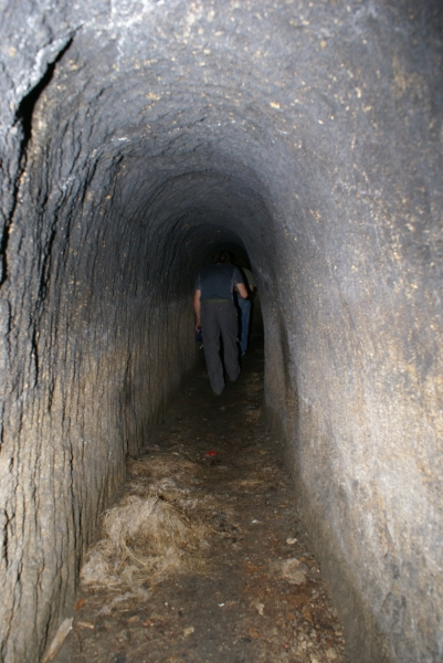 Erforschung unterirdischer Gänge in Ostösterreich ¦ Besuch von Ausstellungen & archäologischen Stätten